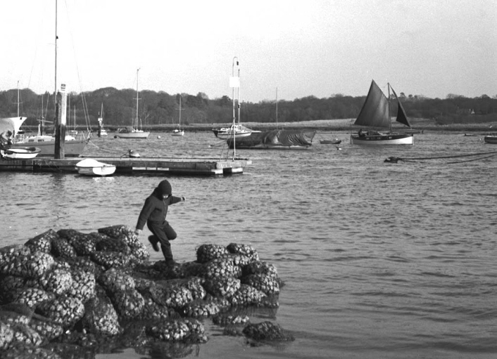 Hamble River 046