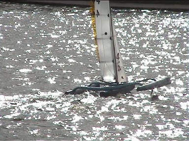 Multihulls at Gosport